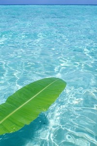 尤文再败，欧冠晋级之路跨不过去？