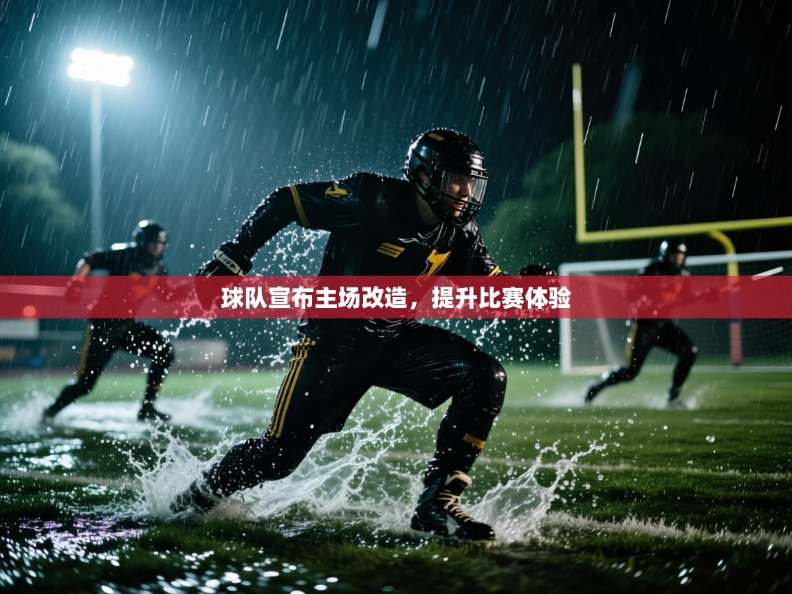 球队宣布主场改造,提升比赛体验 第2张