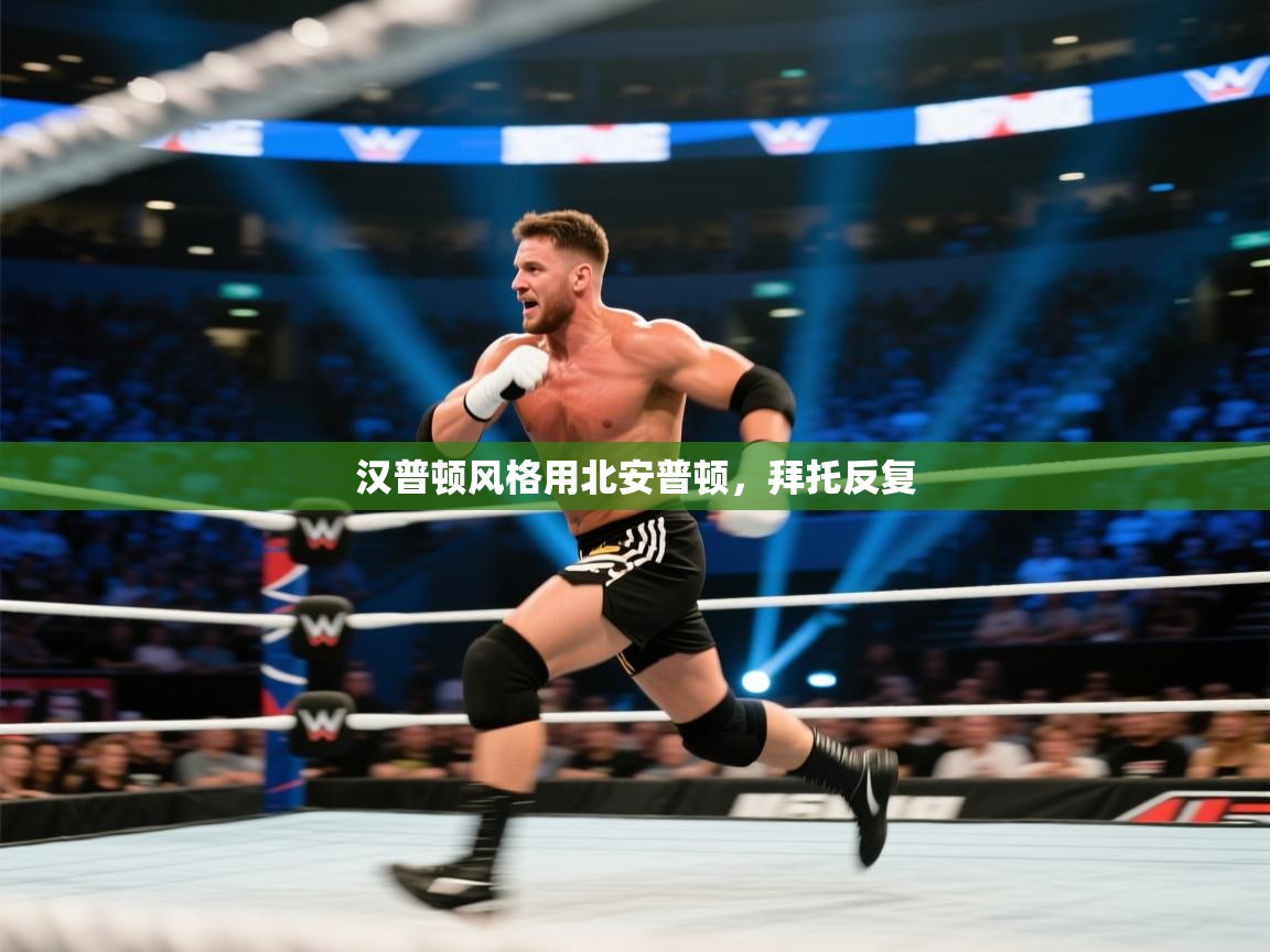 汉普顿风格用北安普顿，拜托反复  第1张