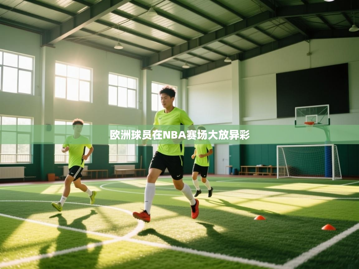 欧洲球员在NBA赛场大放异彩
